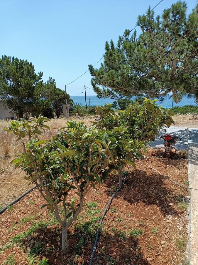 Sea View Pine House Villa Makriyialós Luaran gambar